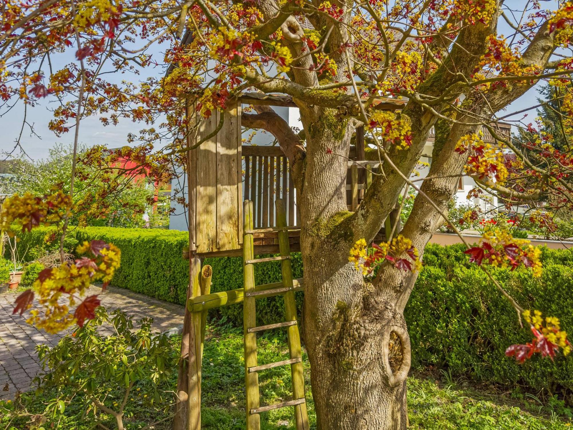 Obst- Ferienhof Ragg Immenstaad am Bodensee Εξωτερικό φωτογραφία